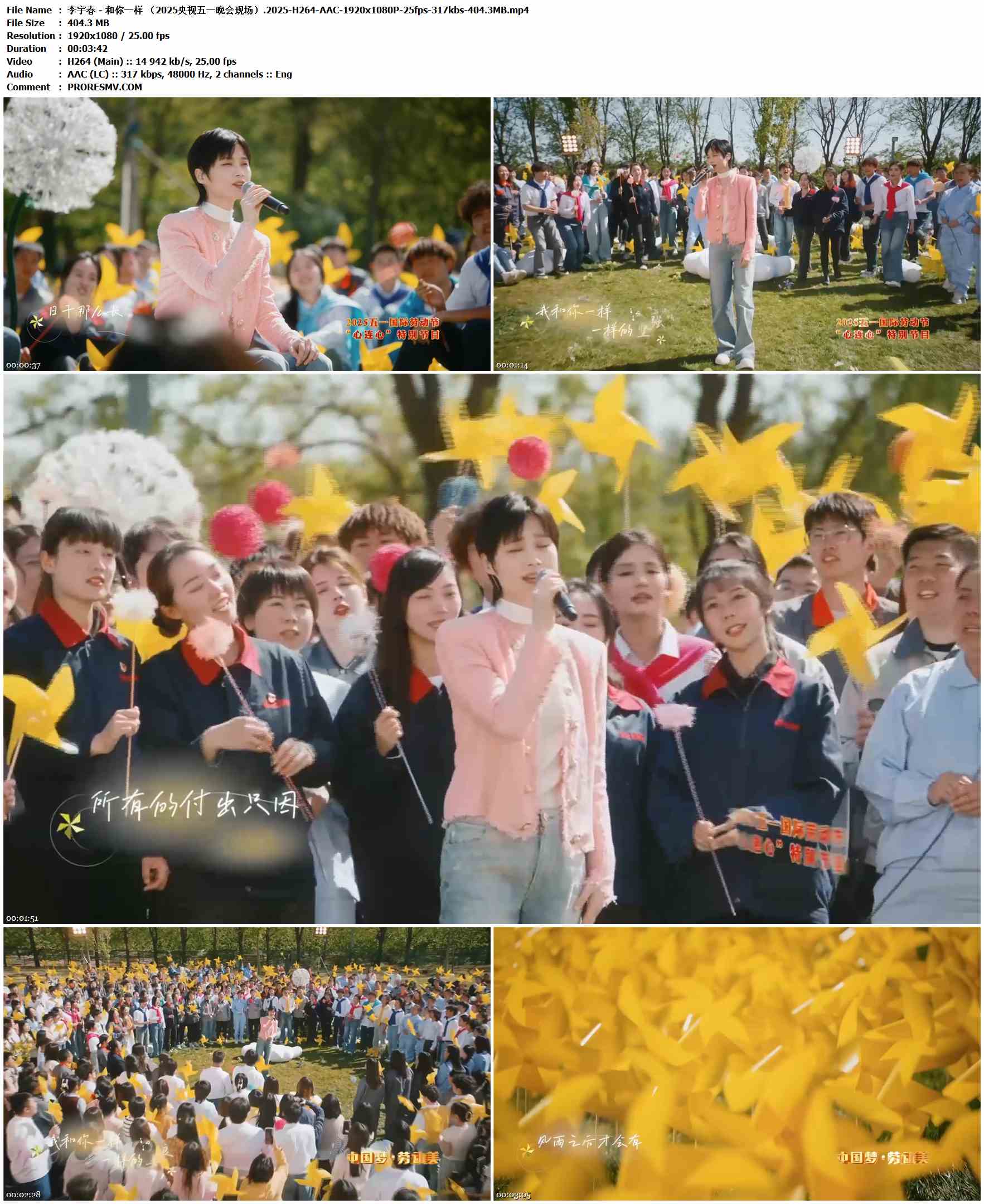李宇春 - 和你一样 （2025央视五一晚会现场）.2025-H264-AAC-1920x1080P-25fps-317kbs-404.3MB官方MV_高清MV